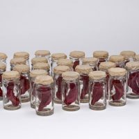 Unsaid by Elizabeth Garvey