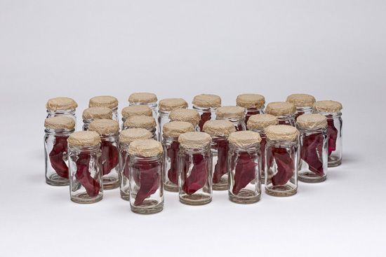 Unsaid by Elizabeth Garvey