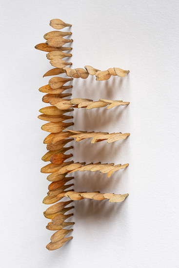 On the Cusp of Language by Elizabeth Garvey