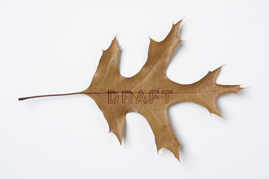 Draft by Elizabeth Garvey