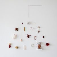 personal taxonomy by elizabeth garvey