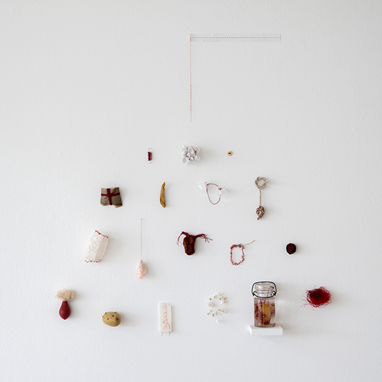 personal taxonomy by elizabeth garvey