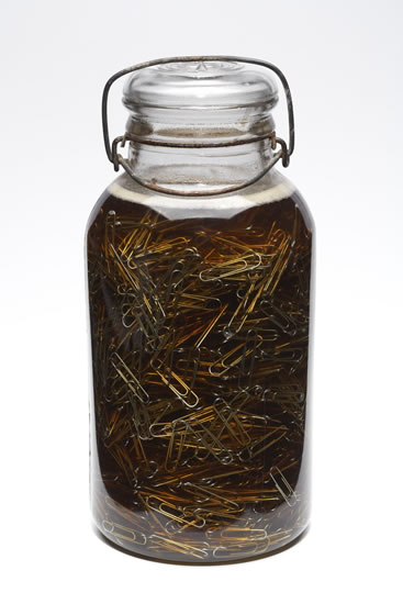 Sustenance by Elizabeth Garvey