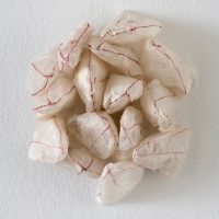 tongue husks by elizabeth garvey