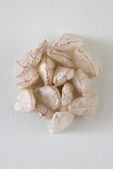 tongue husks by elizabeth garvey